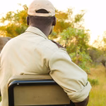 back-view-african-american-male-watching-elephants-safari
