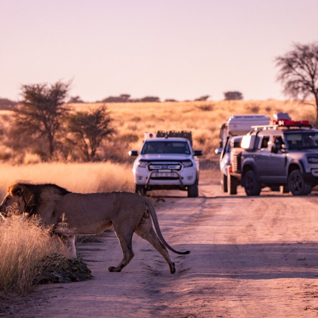 WhatsApp Image 2025-12-10 at 08.22.01_891ddbfe